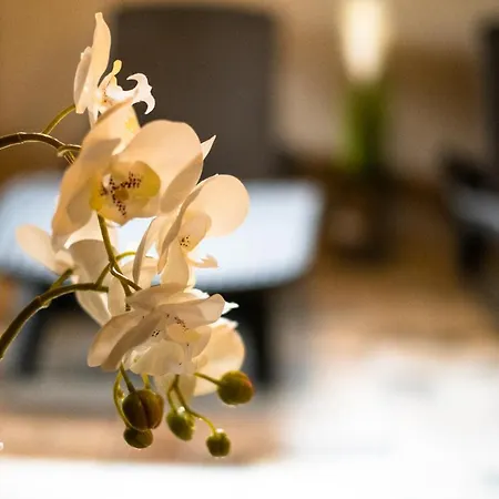 Pino Guest house 3*