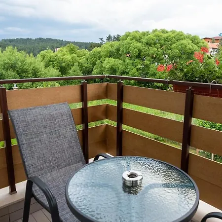 Guest house Pino Velingrad