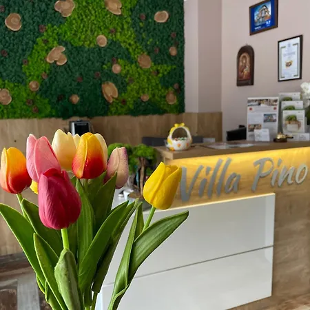 Guest house Pino 3*